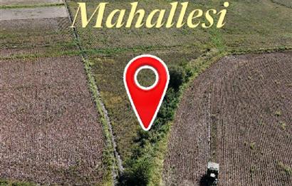 GÖLEMEZLİ MAHALLESİNDE SATILIK 4.303 M2 TARIM ARAZİSİ