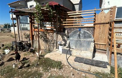Topaklı Köyü’nde Doğayla İç İçe Huzurlu  Satılık Çiftlik