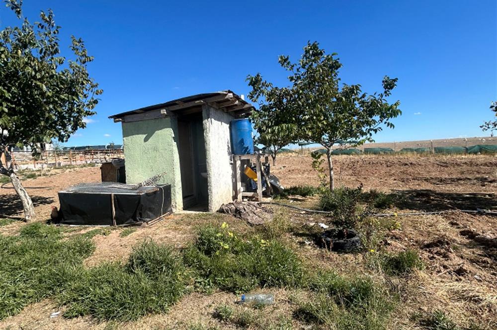 Topaklı Köyü’nde Doğayla İç İçe Huzurlu  Satılık Çiftlik