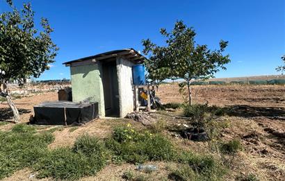 Topaklı Köyü’nde Doğayla İç İçe Huzurlu  Satılık Çiftlik