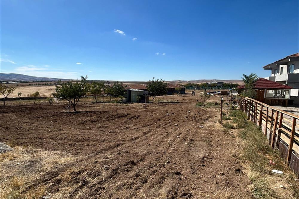 Topaklı Köyü’nde Doğayla İç İçe Huzurlu  Satılık Çiftlik
