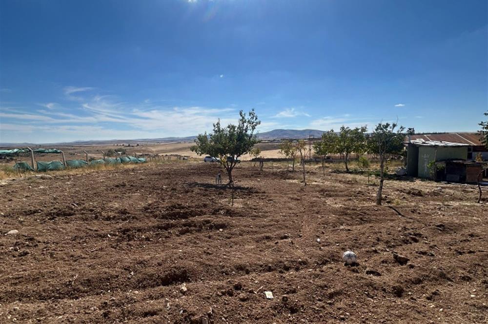 Topaklı Köyü’nde Doğayla İç İçe Huzurlu  Satılık Çiftlik