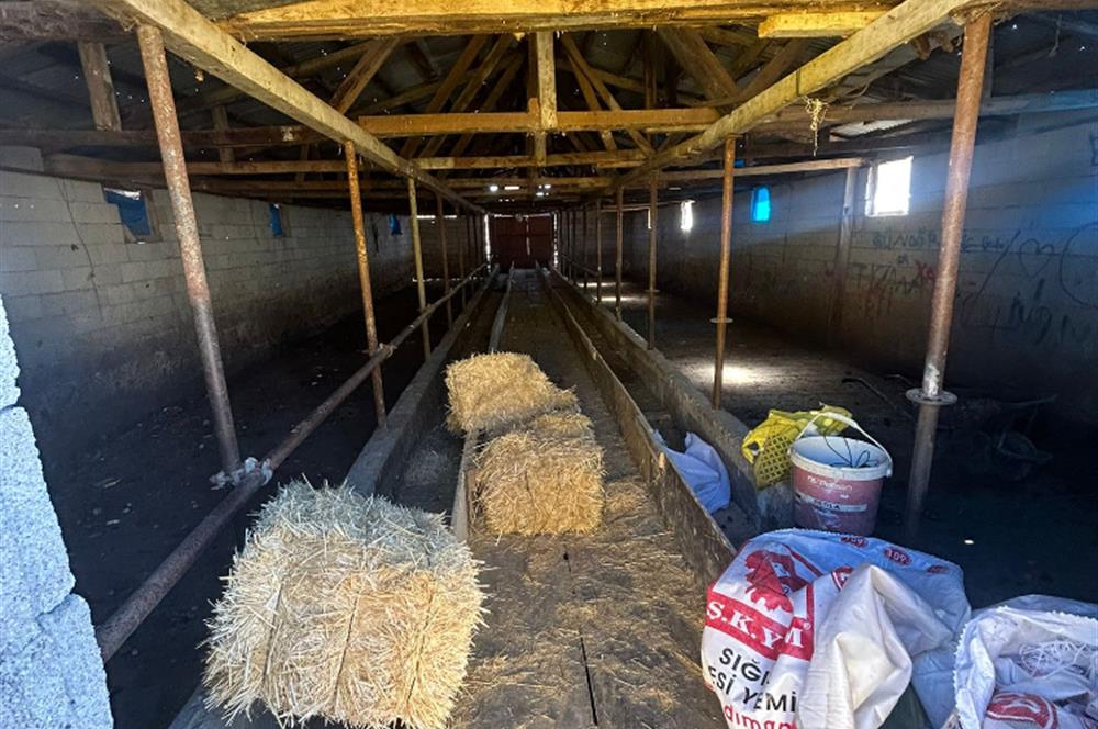 Topaklı Köyü’nde Doğayla İç İçe Huzurlu  Satılık Çiftlik
