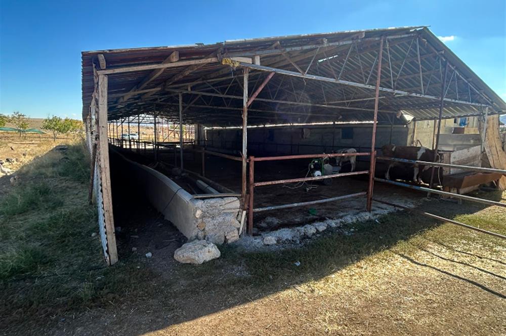 Topaklı Köyü’nde Doğayla İç İçe Huzurlu  Satılık Çiftlik