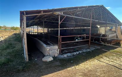 Topaklı Köyü’nde Doğayla İç İçe Huzurlu  Satılık Çiftlik