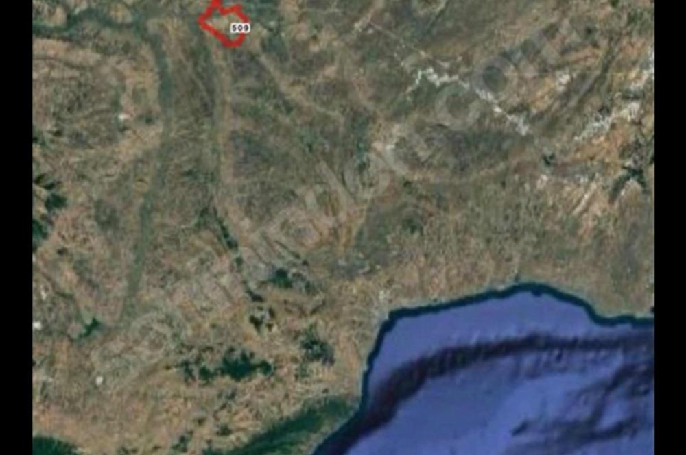 KIRKLARELİ LÜLEBURGAZ OKLALI 5600 M2 RESMİ YOL CEPHELİ SATILIK