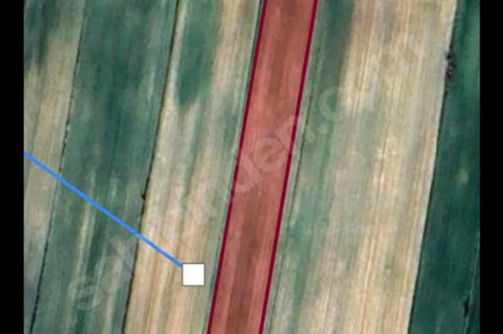KIRKLARELİ LÜLEBURGAZ OKLALI 5600 M2 RESMİ YOL CEPHELİ SATILIK