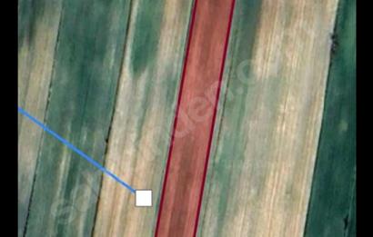 KIRKLARELİ LÜLEBURGAZ OKLALI 5600 M2 RESMİ YOL CEPHELİ SATILIK