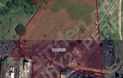 GEMLİK ADLİYE'DE SATILIK 16.000 M2 TARLA