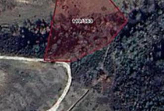 GEMLİK ADLİYE'DE SATILIK 5800 M2 TARLA