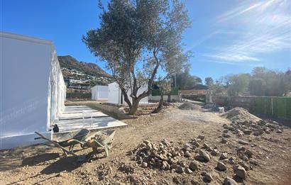Bodrum Turgutreis Marinaya Yürüme Mesafesinde 1.000m2 Arsa içinde 4 Blok 8 Tapulu Personel Lojmanı / Mikro Ofis Projesi 