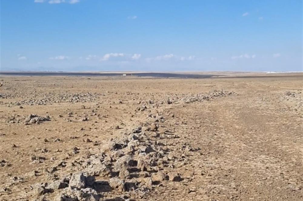C21NEXAR'DAN DİYARBAKIR ÇINAR OVABAĞ KİLVAN'DA SATILIK TARLA