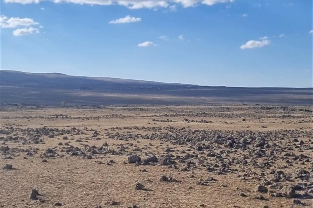 C21NEXAR'DAN DİYARBAKIR ÇINAR OVABAĞ KİLVAN'DA SATILIK TARLA