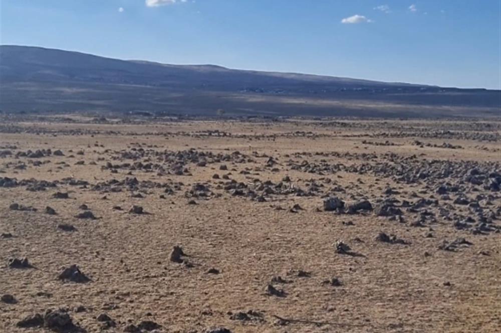 C21NEXAR'DAN DİYARBAKIR ÇINAR OVABAĞ KİLVAN'DA SATILIK TARLA