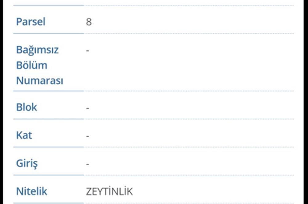 BALIKESİR HAVRAN TEPEOBA KÖYÜNDE ULAŞIMI KOLAY SATILIK ZEYTİNLİK