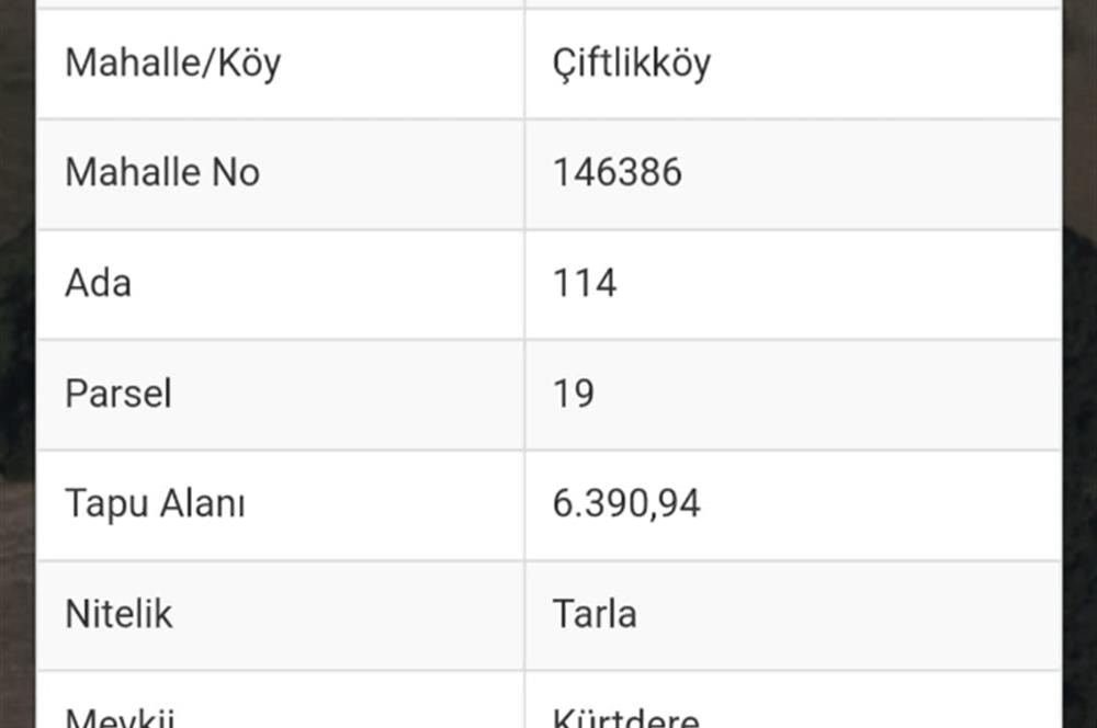 ÇATALCADA Kİ GELECEĞE YÖNELİK YATIRIMI KAÇIRMAYIN.
