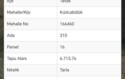 Tavas Kızılcabölük’te Satılık Tarla 