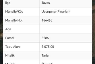 Tavas Pınarlar Mahallesinde Satılık Tarla 