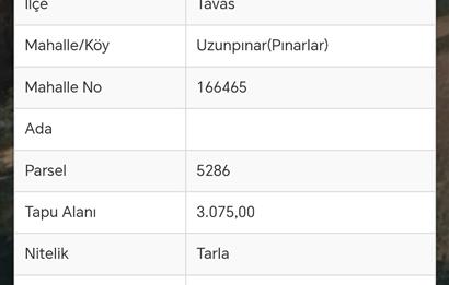 Tavas Pınarlar Mahallesinde Satılık Tarla 