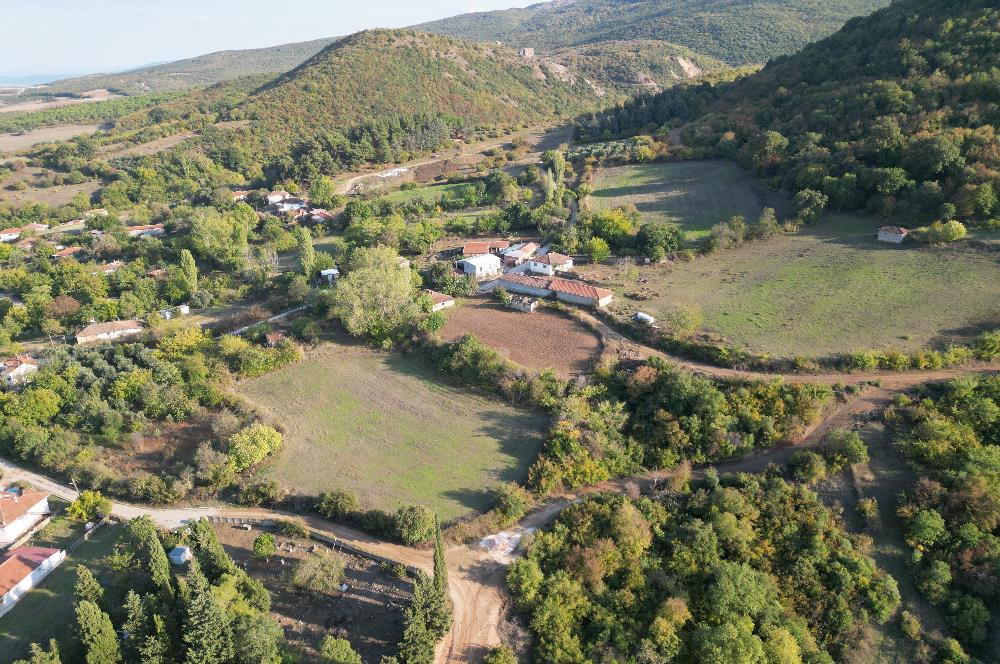 C21 BAL'DAN ESKİ MANYAS'TA 6.570 m2// 5 PARÇAYA BÖLÜNEBİLİR ARSA