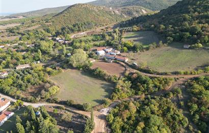 C21 BAL'DAN ESKİ MANYAS'TA 6.570 m2// 5 PARÇAYA BÖLÜNEBİLİR ARSA