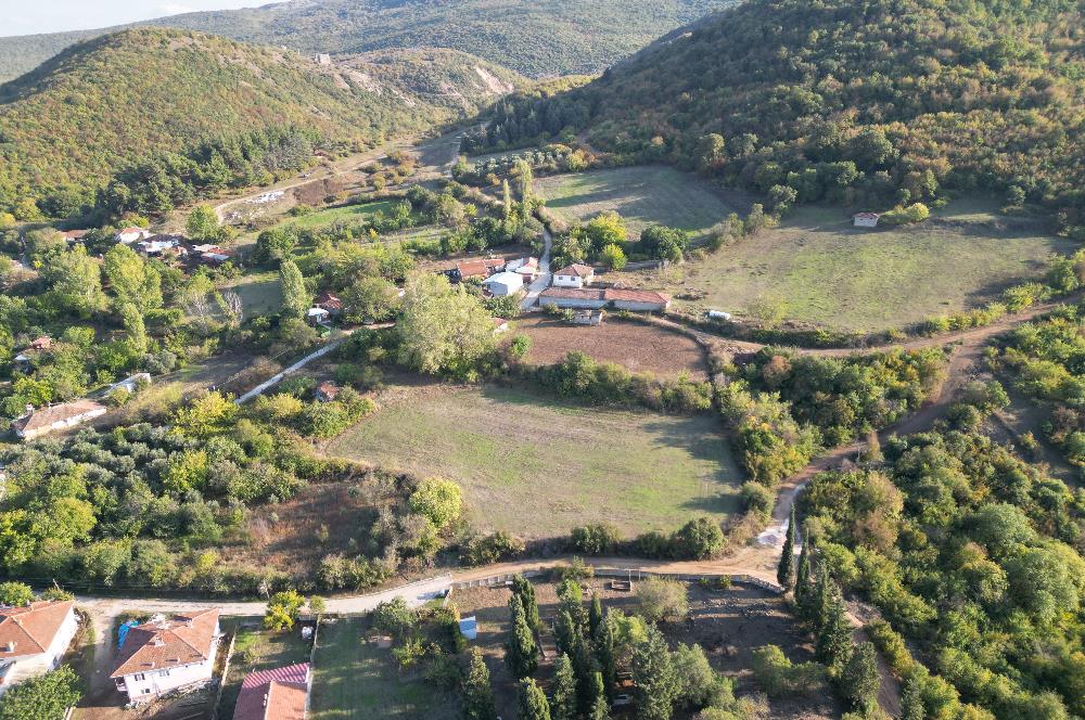 C21 BAL'DAN ESKİ MANYAS'TA 6.570 m2// 5 PARÇAYA BÖLÜNEBİLİR ARSA