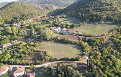 C21 BAL'DAN ESKİ MANYAS'TA 6.570 m2// 5 PARÇAYA BÖLÜNEBİLİR ARSA