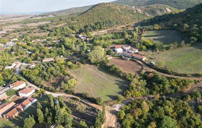 C21 BAL'DAN ESKİ MANYAS'TA 6.570 m2// 5 PARÇAYA BÖLÜNEBİLİR ARSA