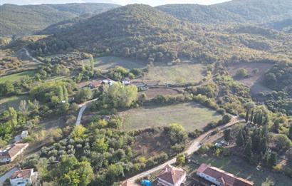 C21 BAL'DAN ESKİ MANYAS'TA 6.570 m2// 5 PARÇAYA BÖLÜNEBİLİR ARSA