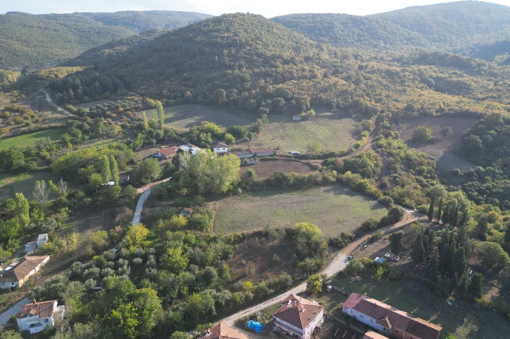 C21 BAL'DAN ESKİ MANYAS'TA 6.570 m2// 5 PARÇAYA BÖLÜNEBİLİR ARSA