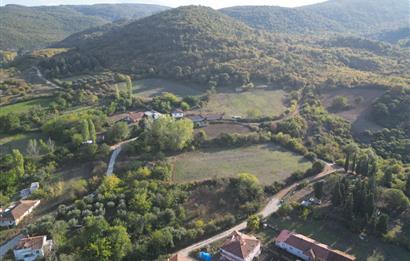 C21 BAL'DAN ESKİ MANYAS'TA 6.570 m2// 5 PARÇAYA BÖLÜNEBİLİR ARSA