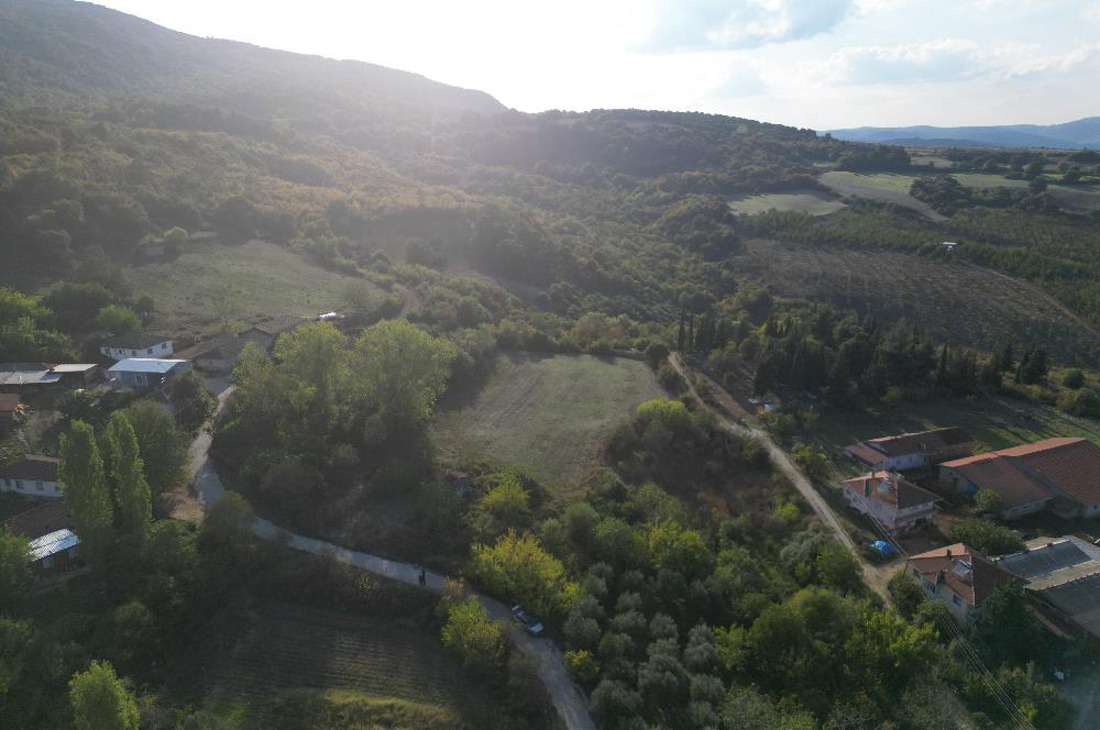 C21 BAL'DAN ESKİ MANYAS'TA 6.570 m2// 5 PARÇAYA BÖLÜNEBİLİR ARSA