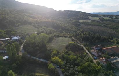 C21 BAL'DAN ESKİ MANYAS'TA 6.570 m2// 5 PARÇAYA BÖLÜNEBİLİR ARSA