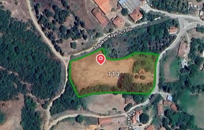 C21 BAL'DAN ESKİ MANYAS'TA 6.570 m2// 5 PARÇAYA BÖLÜNEBİLİR ARSA