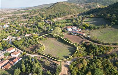 C21 BAL'DAN ESKİ MANYAS'TA 6.570 m2// 5 PARÇAYA BÖLÜNEBİLİR ARSA