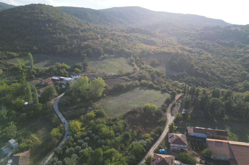 C21 BAL'DAN ESKİ MANYAS'TA 6.570 m2// 5 PARÇAYA BÖLÜNEBİLİR ARSA