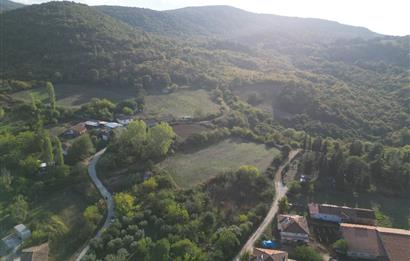 C21 BAL'DAN ESKİ MANYAS'TA 6.570 m2// 5 PARÇAYA BÖLÜNEBİLİR ARSA