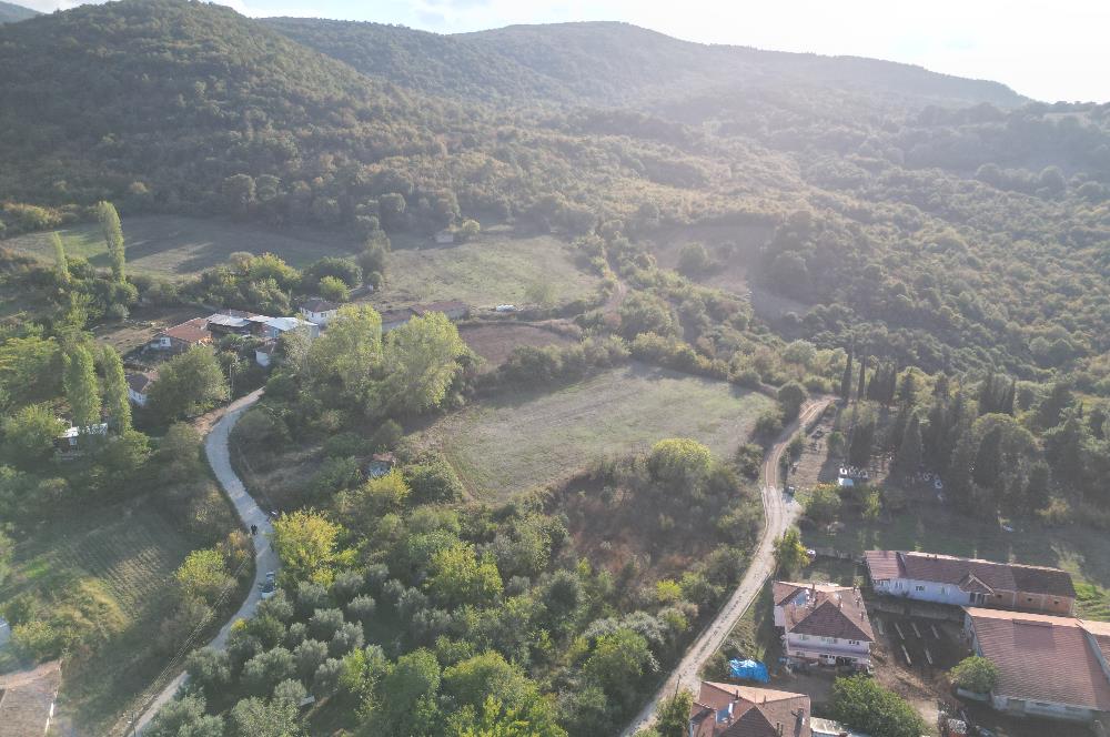 C21 BAL'DAN ESKİ MANYAS'TA 6.570 m2// 5 PARÇAYA BÖLÜNEBİLİR ARSA