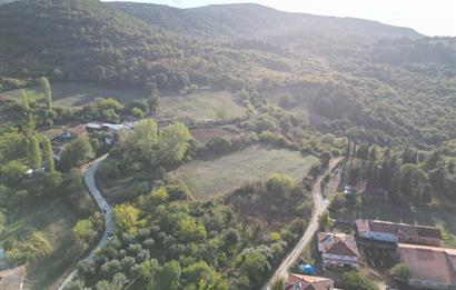 C21 BAL'DAN ESKİ MANYAS'TA 6.570 m2// 5 PARÇAYA BÖLÜNEBİLİR ARSA