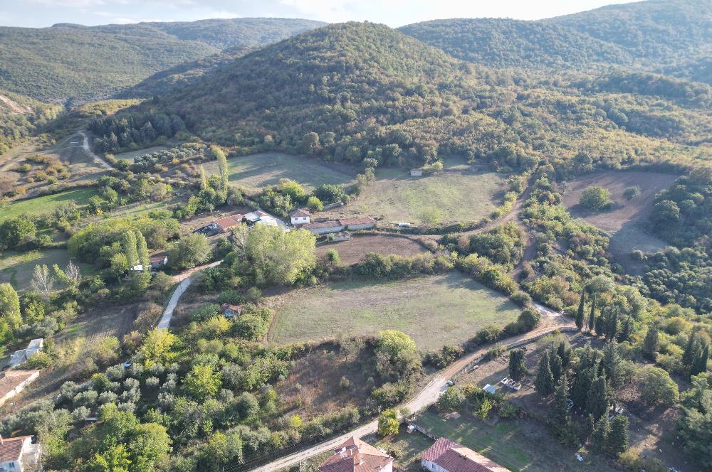 C21 BAL'DAN ESKİ MANYAS'TA 6.570 m2// 5 PARÇAYA BÖLÜNEBİLİR ARSA