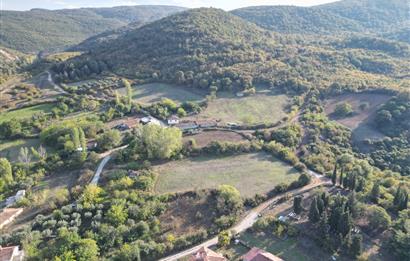 C21 BAL'DAN ESKİ MANYAS'TA 6.570 m2// 5 PARÇAYA BÖLÜNEBİLİR ARSA