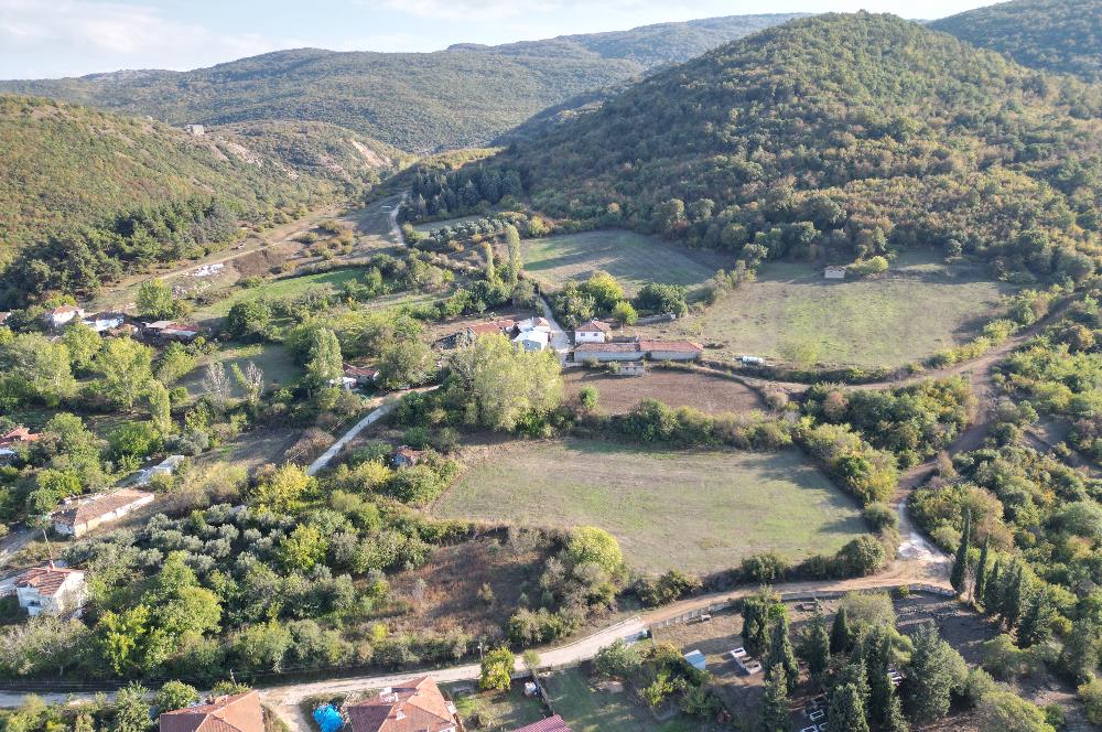 C21 BAL'DAN ESKİ MANYAS'TA 6.570 m2// 5 PARÇAYA BÖLÜNEBİLİR ARSA
