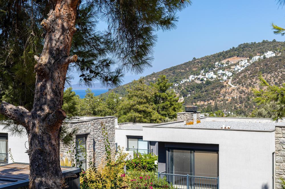 Bodrum Torba'da 695 m2 Arazi İçinde 134 m2 brüt Satılık Villa