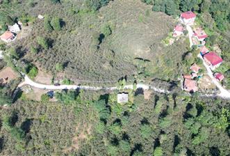 PERŞEMBE YENİKÖYDE 2.350 M², KÖY YERLEŞİK YOLUNA SIFIR BAHÇE