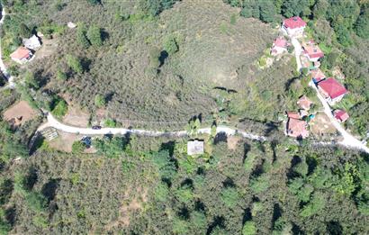 PERŞEMBE YENİKÖYDE 2.350 M², KÖY YERLEŞİK YOLUNA SIFIR BAHÇE
