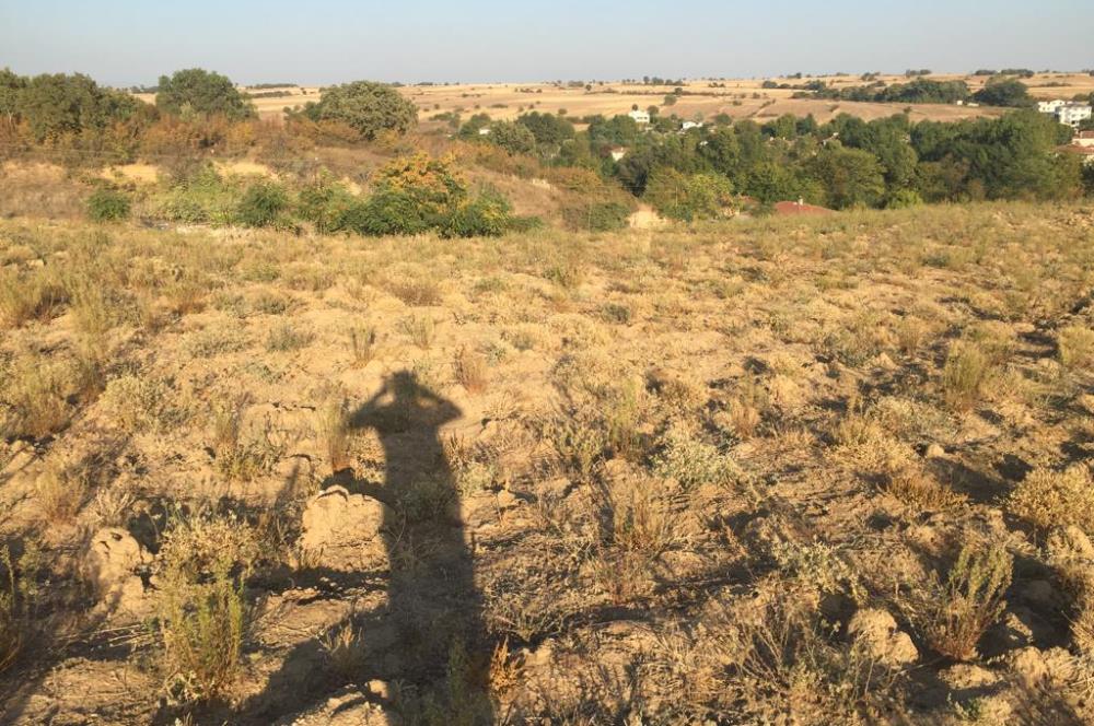 C21NEXAR'DAN LÜLEBURGAZ CEYLANKÖY 577m2 SATILIK İMARLI ARSA