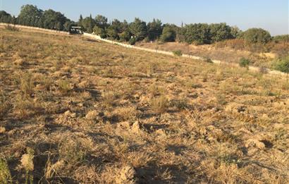 C21NEXAR'DAN LÜLEBURGAZ CEYLANKÖY 577m2 SATILIK İMARLI ARSA