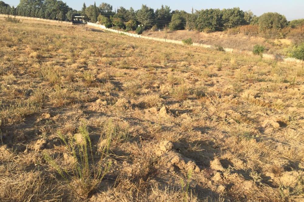 C21NEXAR'DAN LÜLEBURGAZ CEYLANKÖY 577m2 SATILIK İMARLI ARSA