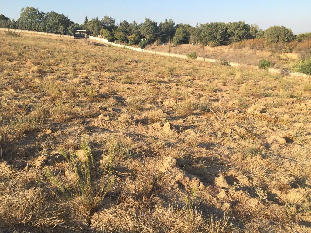 C21NEXAR'DAN LÜLEBURGAZ CEYLANKÖY 577m2 SATILIK İMARLI ARSA
