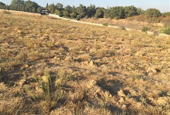 C21NEXAR'DAN LÜLEBURGAZ CEYLANKÖY 577m2 SATILIK İMARLI ARSA